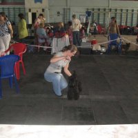 img_7848