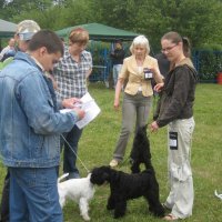 img_8147