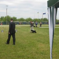 img_8159